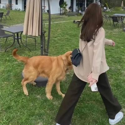 独裁者的情人
